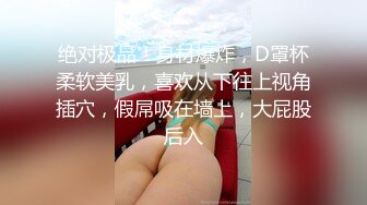 绝对极品！身材爆炸，D罩杯柔软美乳，喜欢从下往上视角插穴，假屌吸在墙上，大屁股后入