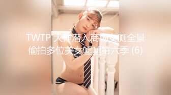 TWTP 大神潜入商场女厕全景偷拍多位美女嘘嘘第六季 (6)