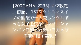 [200GANA-2238] マジ軟派、初撮。 1573 クリスマスイブの池袋で一人寂しいクリぼっち女子を突撃ナンパ！シャンパンで酔った勢いでカメラの前に晒す美乳！