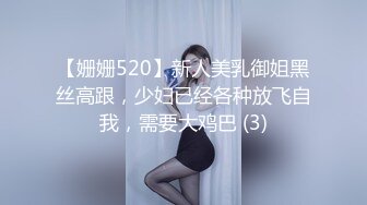 【姗姗520】新人美乳御姐黑丝高跟，少妇已经各种放飞自我，需要大鸡巴 (3)