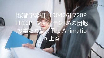 [桜都字幕組][190426][720P Hi10P][ショーテン]あの団地の妻たちは… The Animation 上巻