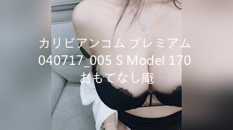 カリビアンコム プレミアム 040717_005 S Model 170 おもてなし庵