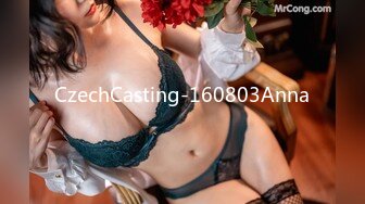 CzechCasting-160803Anna