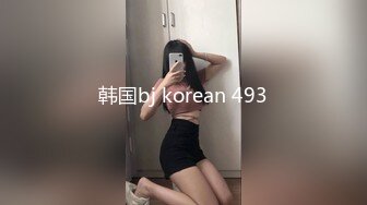 韩国bj korean 493