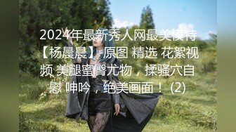 2024年最新秀人网最美模特【杨晨晨】 原图 精选 花絮视频 美腿蜜臀尤物，揉骚穴自慰 呻吟，绝美画面！ (2)