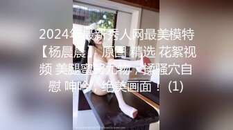 2024年最新秀人网最美模特【杨晨晨】 原图 精选 花絮视频 美腿蜜臀尤物，揉骚穴自慰 呻吟，绝美画面！ (1)